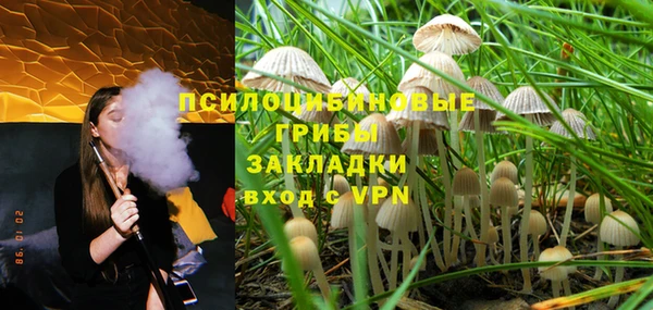 дмт Арсеньев