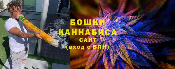 дмт Арсеньев