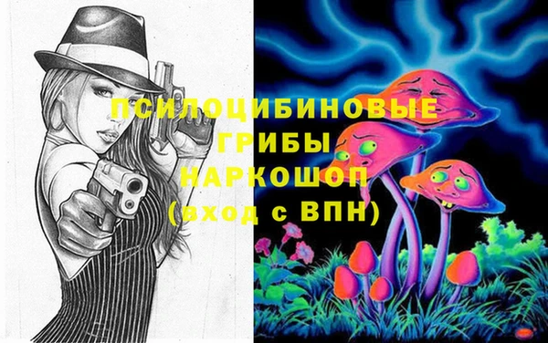 дмт Арсеньев