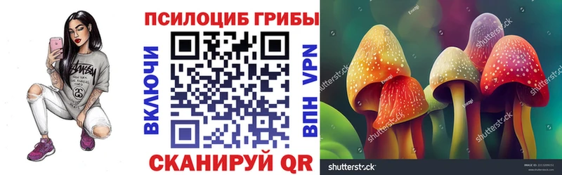 Псилоцибиновые грибы Magic Shrooms  Купить где  Называевск 